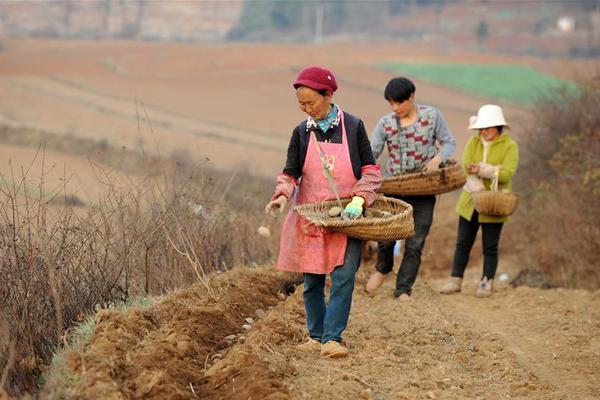 日语培训p0元3小时不限次数品茶重庆,重庆日语培训机构价位