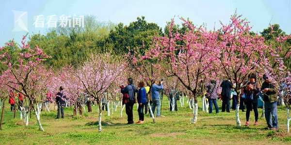 蜂蜜《附近哪里有枝女电话,附近哪里有卖蜂蜜的地方