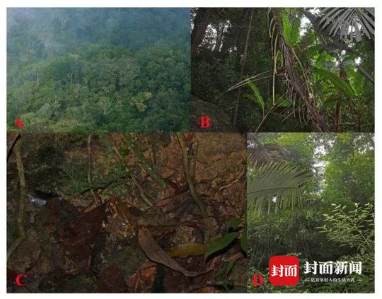 运输业_4公里哪里有站街的