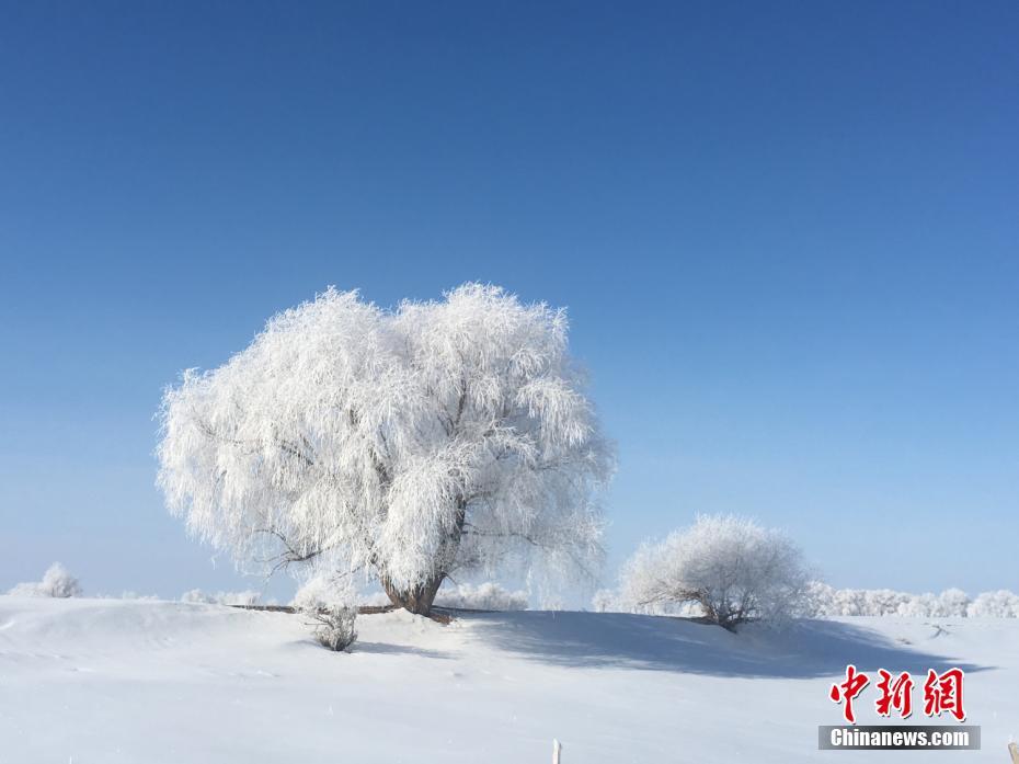 水产业:300快餐无限次个体户