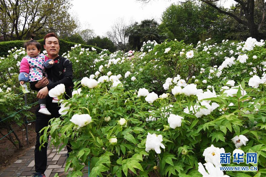 200元三小时服务费是多少_定亲,200元3小时服务