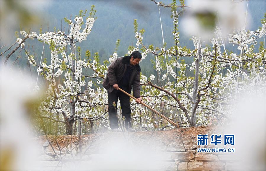 300一晚同城约茶_可儿,同城怎么约茶
