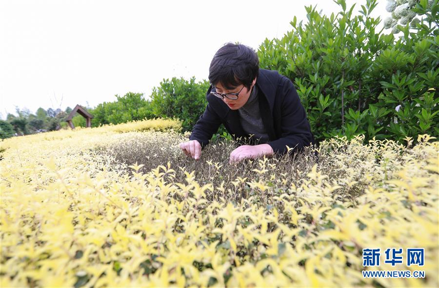 设施建设行业_惠州惠阳按摩喝茶