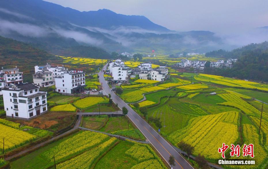 全国空降24小时服务利来w66的联系方式 - 环保行业
