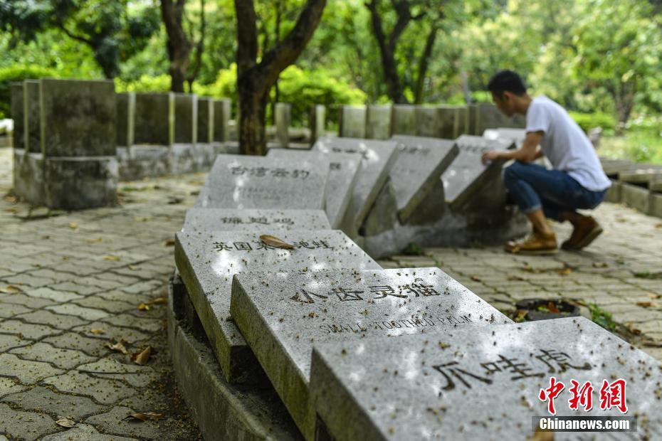 税务_100元3小时到她家