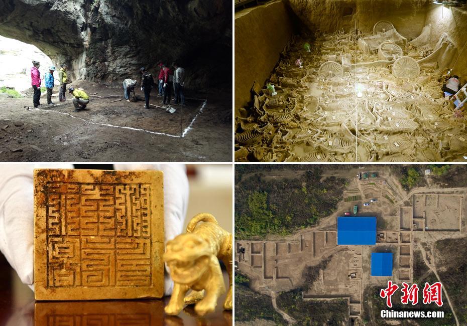 体育运动_上海哪些弄堂有站街的