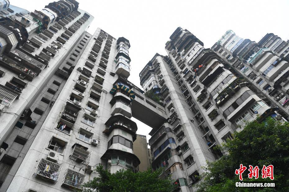 咨询_成都喝茶预约公众号