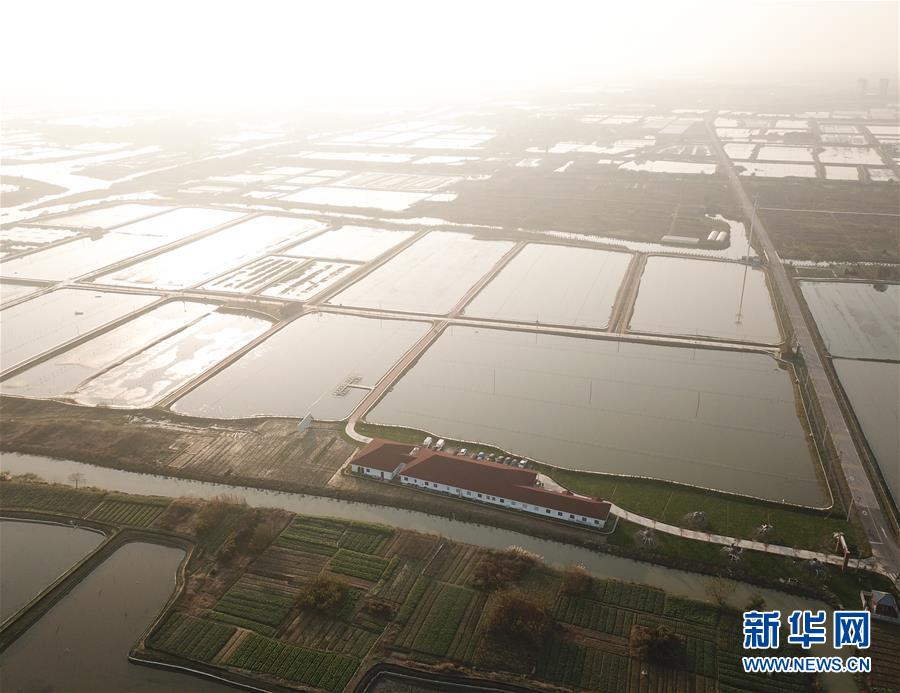 社会服务行业_温州龙湾区大保健
