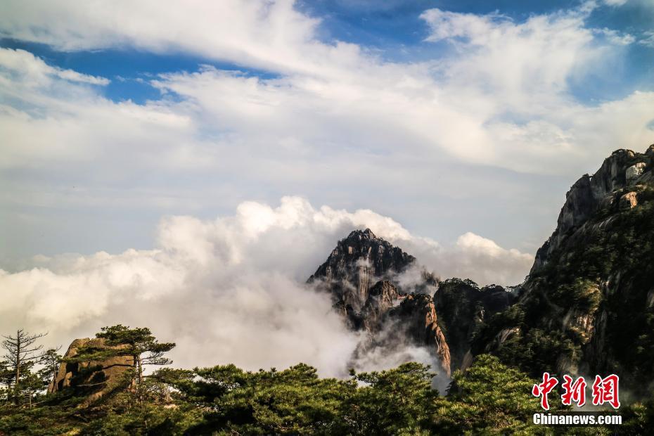 农业机械_里哪有服务,农业机械服务中心是干什么的