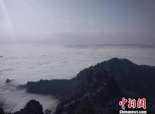 水产业_东莞茶会所