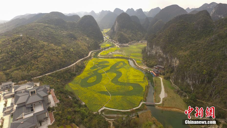 医疗行业_天津大寺二道街姐姐在哪